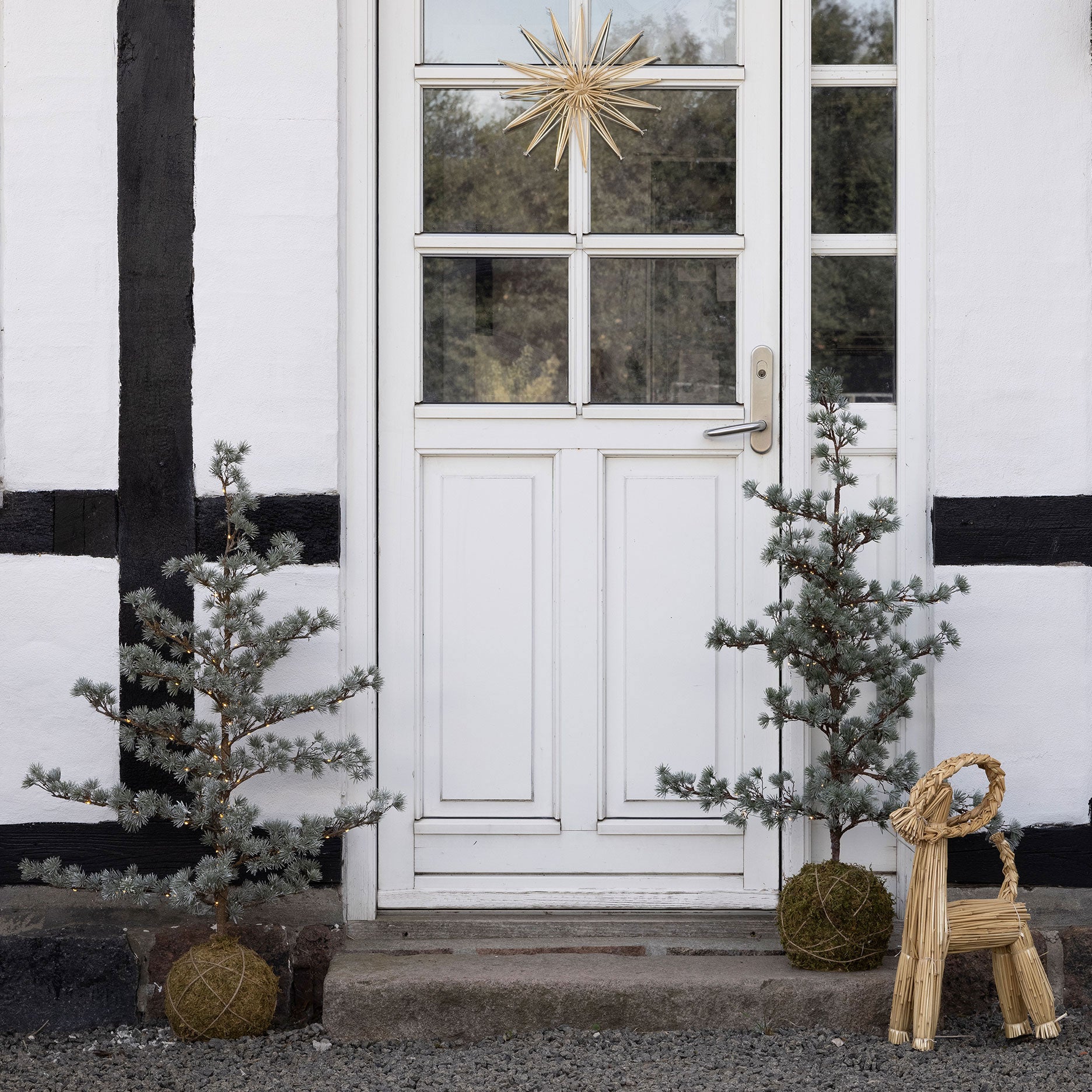 Festive cedertræ m. LED